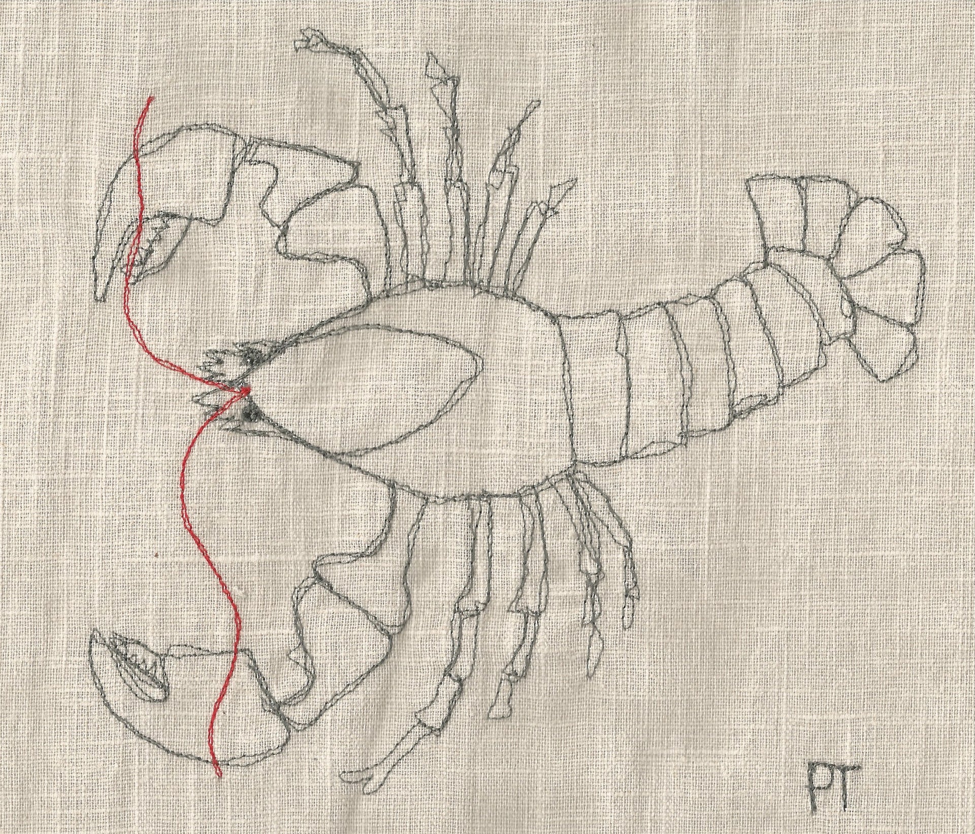 Celebrate World Ocean Day with our 5 top tips to saving our seas