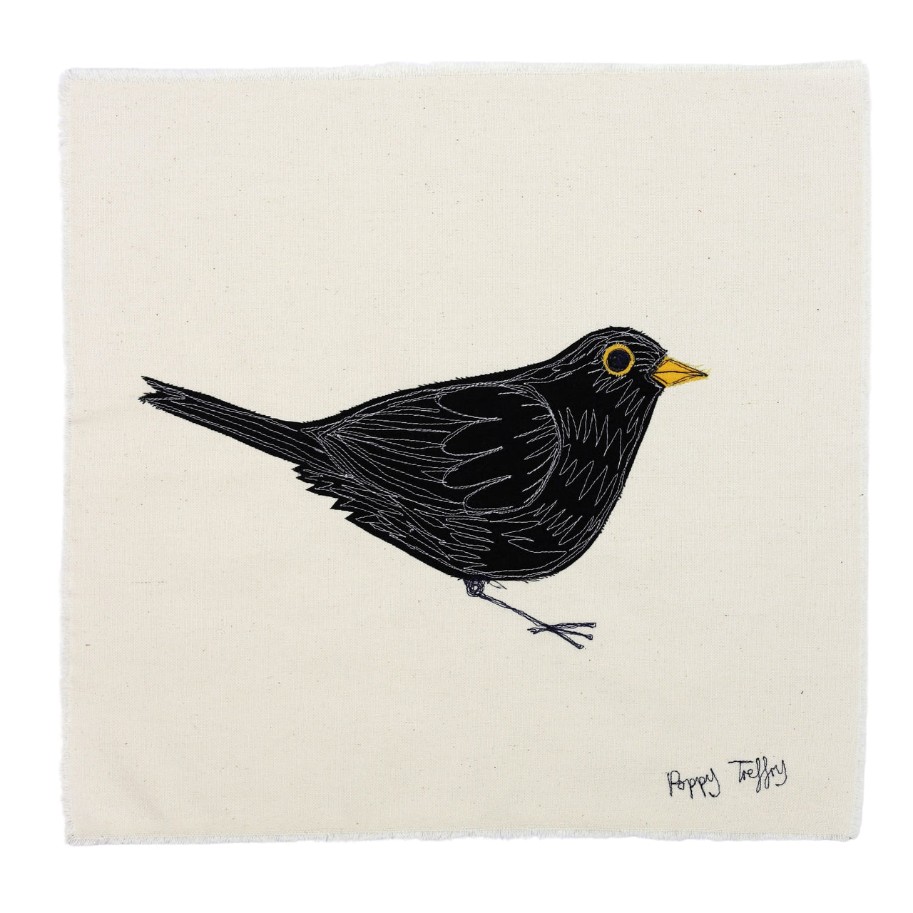 Blackbird