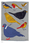 garden birds - A3 print